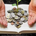 A história da finança como surgiu e objetivo