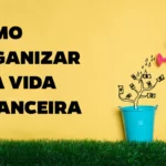 Como Organizar o Salário do Mês